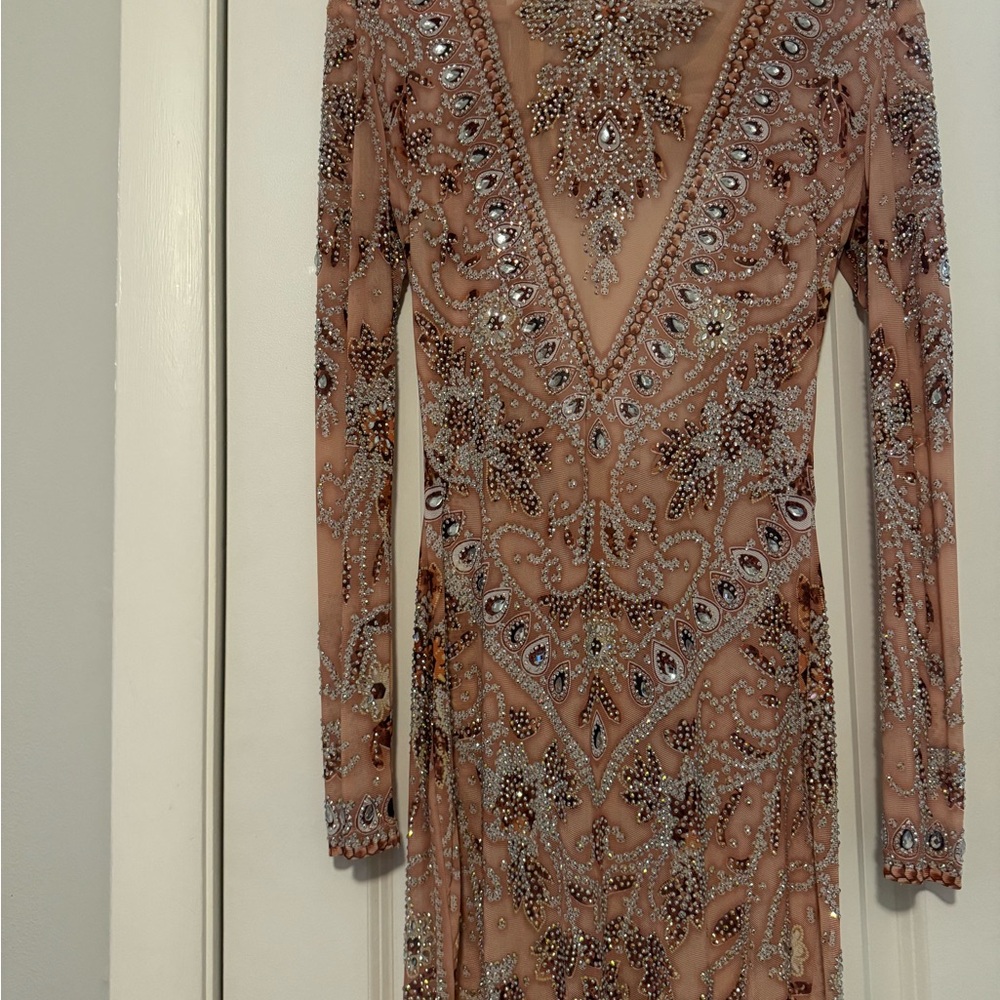 Elegant Embellished Dress in Nude and Silver